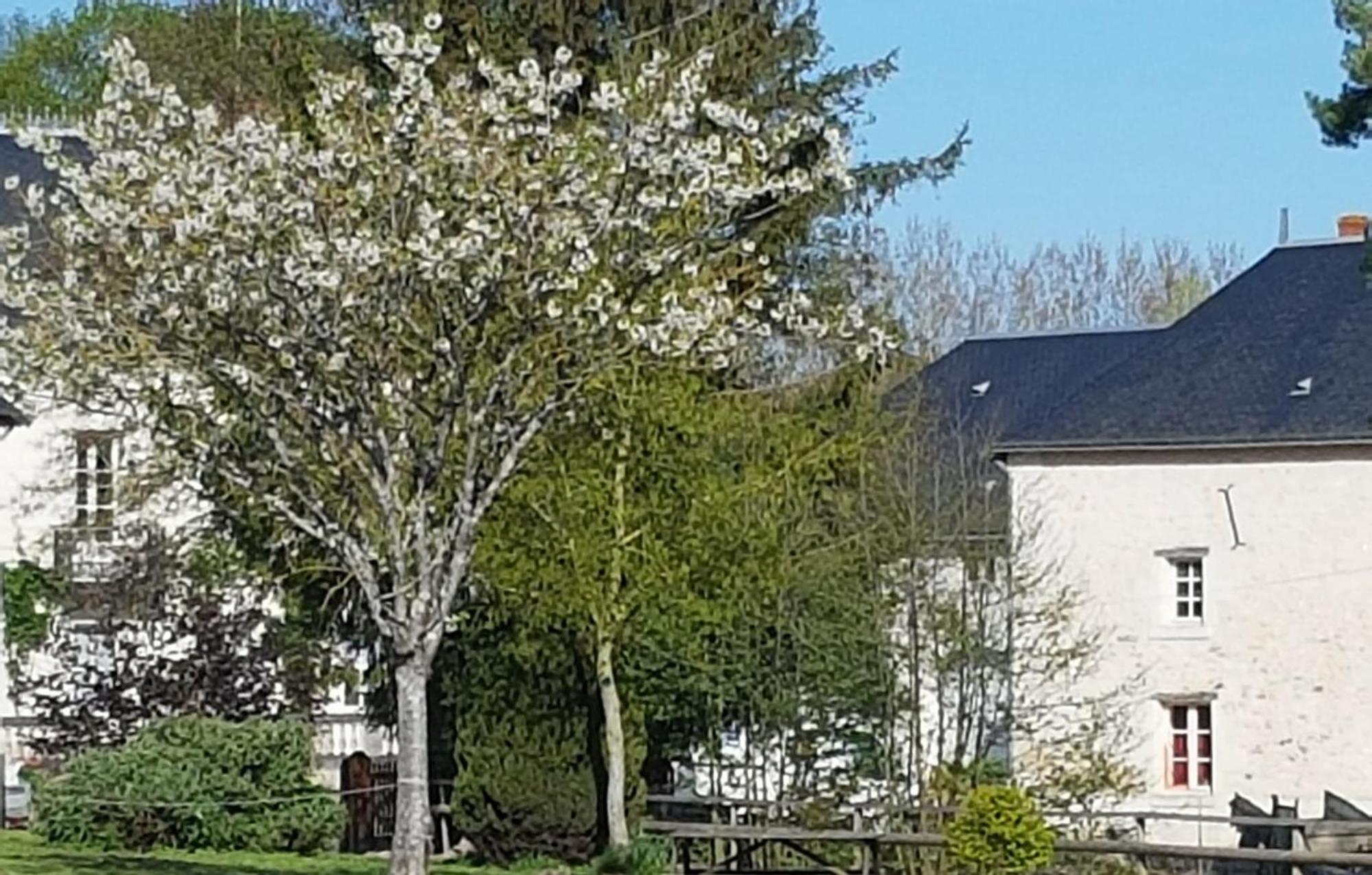 Domaine Du Moulin Neuf Aux Portes De Beauval Nouans-les-Fontaines Exterior photo