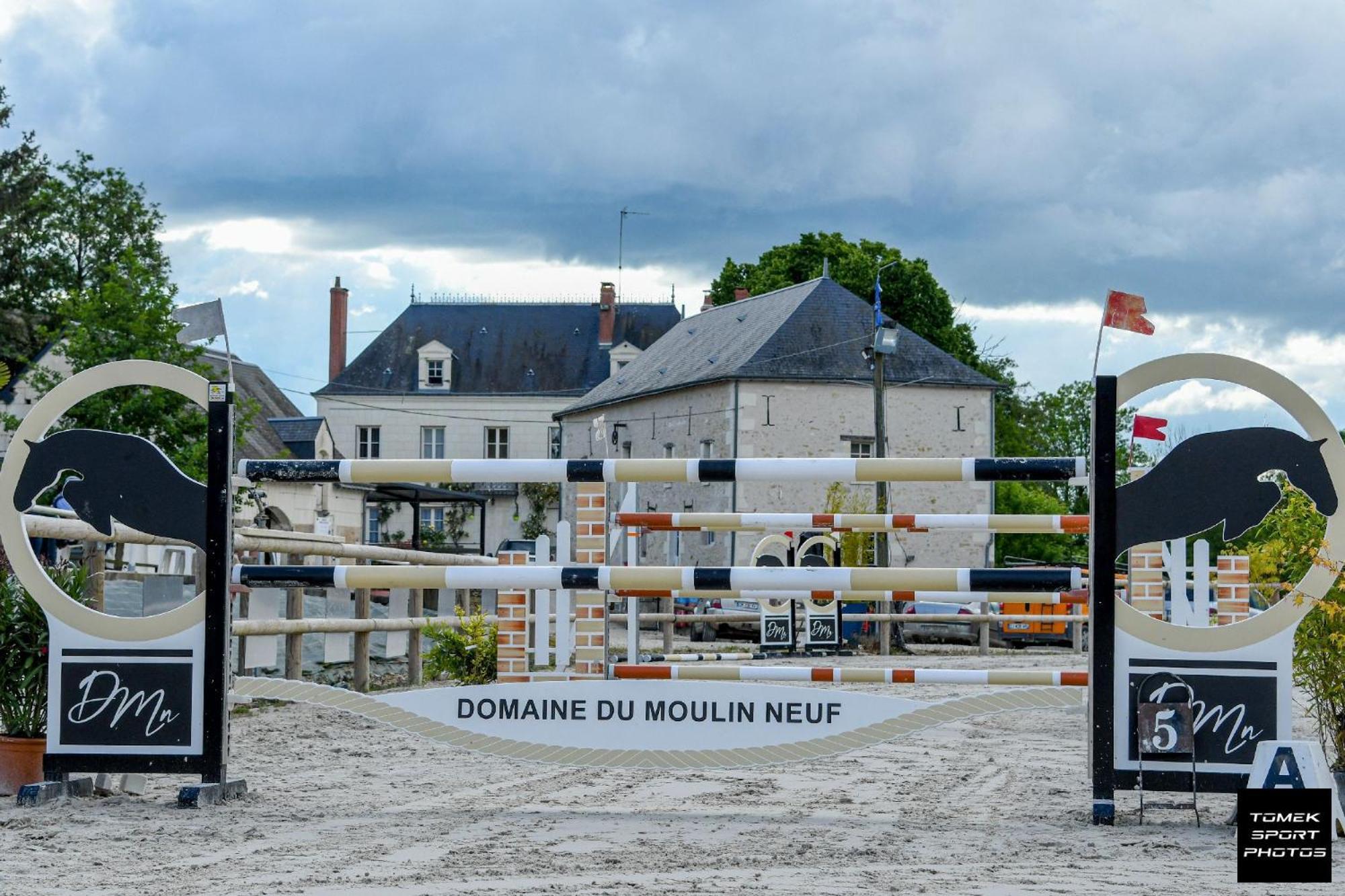 Domaine Du Moulin Neuf Aux Portes De Beauval Nouans-les-Fontaines Exterior photo